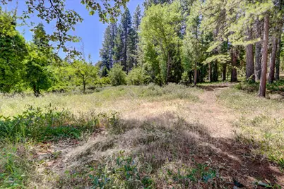 262 W Olympia Drive, Grass Valley, CA 95945 - Photo 6