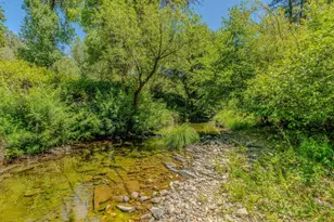 16000 Sutter Creek Rd, Sutter Creek, CA 95685 - Photo 60