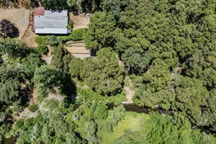 16000 Sutter Creek Rd, Sutter Creek, CA 95685 - Photo 66