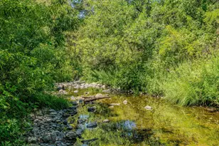 16000 Sutter Creek Rd, Sutter Creek, CA 95685 - Photo 58