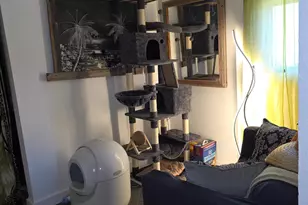 50639 Critter Creek Ln, Oakhurst, CA 93644 - Photo 28