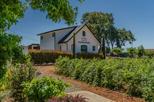 10786 Shenandoah Rd, Plymouth, CA 95669 - Photo 10