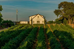 10786 Shenandoah Rd, Plymouth, CA 95669 - Photo 8