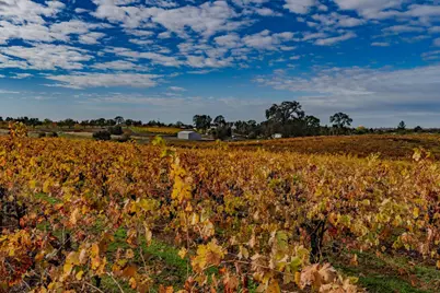 10786 Shenandoah Rd, Plymouth, CA 95669 - Photo 90