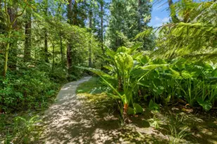 5312 Retreat Way, Carmichael, CA 95608 - Photo 70