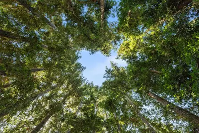 7327 Garden Highway, Yuba City, CA 95991 - Photo 54