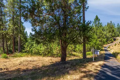 1712 The Point Road, Meadow Vista, CA 95722 - Photo 2