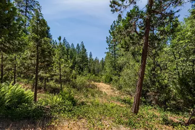 1712 The Point Road, Meadow Vista, CA 95722 - Photo 42