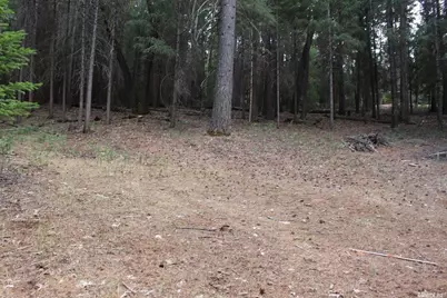 5511 Shooting Star Road, Pollock Pines, CA 95726 - Photo 2