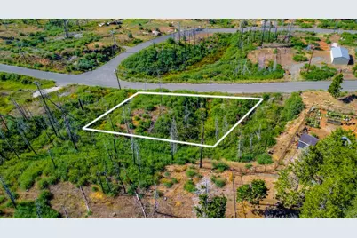 7676 Winding Way, Grizzly Flats, CA 95636 - Photo 12
