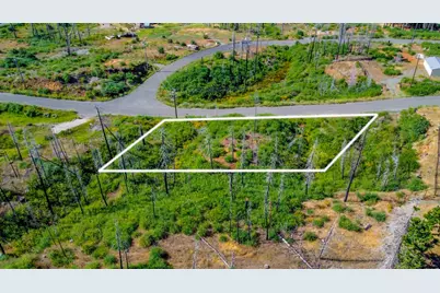 7676 Winding Way, Grizzly Flats, CA 95636 - Photo 10