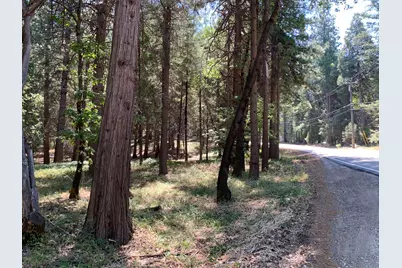 12043 Pasquale Road, Nevada City, CA 95959 - Photo 8