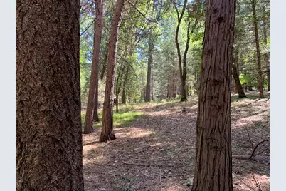 12043 Pasquale Road, Nevada City, CA 95959 - Photo 14