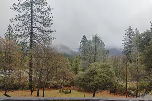 1333 174 Hwy, Colfax, CA 95713 - Photo 20