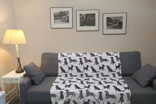 1333 174 Hwy, Colfax, CA 95713 - Photo 16