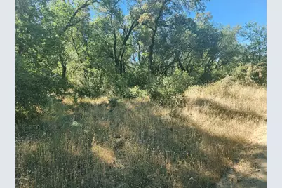 48 Rices Texas Hill Road, Oregon House, CA 95962 - Photo 10