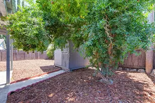 1025 Carrie St, West Sacramento, CA 95605 - Photo 36