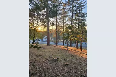 323 Forest Meadows Drive, Murphys, CA 95247 - Photo 12