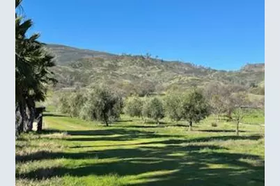 16250 County Road 56, Guinda, CA 95637 - Photo 20