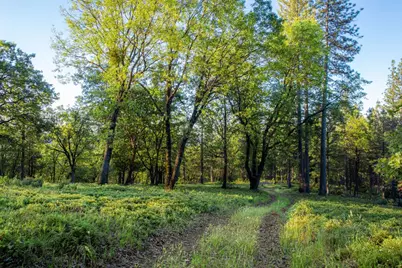 15793 Black Prince Road, Pioneer, CA 95666 - Photo 6