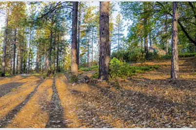 15793 Black Prince Road, Pioneer, CA 95666 - Photo 8