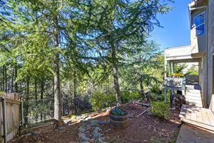 308 Canyon Creek Dr, Colfax, CA 95713 - Photo 42