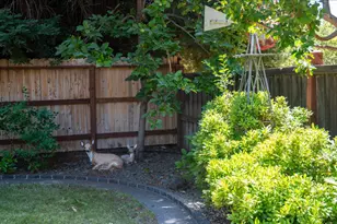 1364 Sun Tree Dr, Roseville, CA 95661 - Photo 6