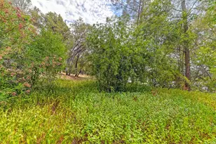 Pepperwood Circle, Auburn, CA 95603 - Photo 30