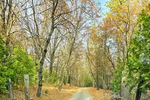 250 Acorn Wy, West Point, CA 95255 - Photo 18