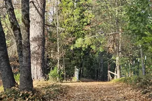 250 Acorn Wy, West Point, CA 95255 - Photo 22