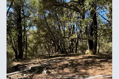 15539 Norvin Way, Grass Valley, CA 95949 - Photo 10