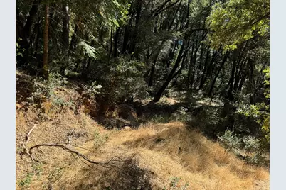 15539 Norvin Way, Grass Valley, CA 95949 - Photo 12