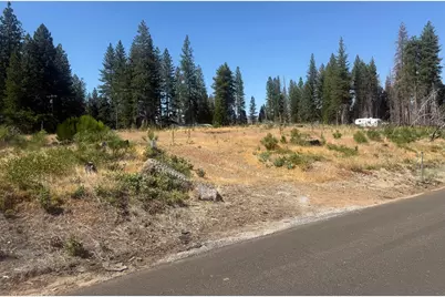 9981 Grizzly Flat Road, Grizzly Flats, CA 95636 - Photo 12