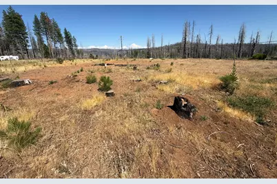 9981 Grizzly Flat Road, Grizzly Flats, CA 95636 - Photo 2