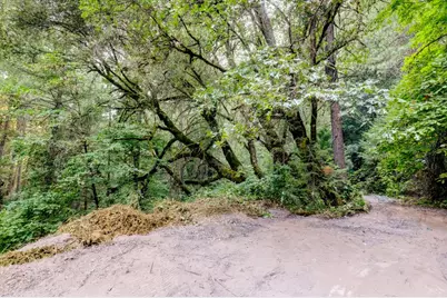 19455 Hogback Road, Nevada City, CA 95959 - Photo 52