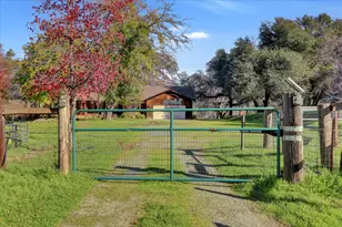 19310 John Born Rd, Penn Valley, CA 95946 - Photo 54