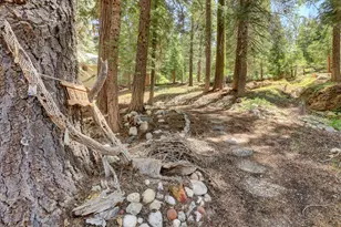 351 Silvertip Springs Dr, La Porte, CA 95981 - Photo 42