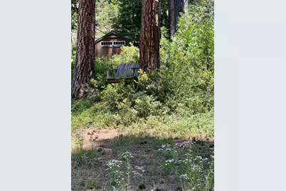 6800 Elk Springs Drive, McCloud, CA 96057 - Photo 6