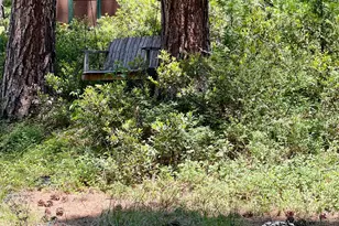 6800 Elk Springs Dr, McCloud, CA 96057 - Photo 6