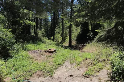 6800 Elk Springs Drive, McCloud, CA 96057 - Photo 10