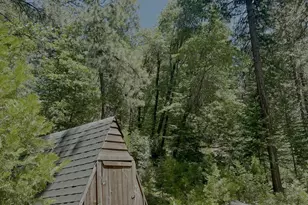 6800 Elk Springs Dr, McCloud, CA 96057 - Photo 8