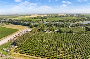 14268 State Hwy 160, Ryde, CA 95680 - Photo 90