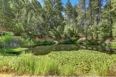 13118 Cement Hill Road, Nevada City, CA 95959 - Photo 6