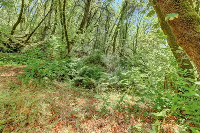 13118 Cement Hill Road, Nevada City, CA 95959 - Photo 88