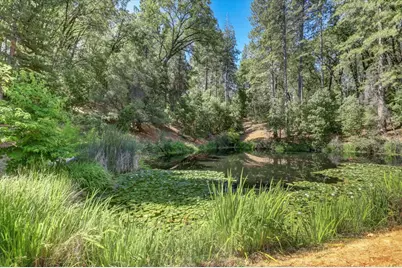 13118 Cement Hill Road, Nevada City, CA 95959 - Photo 84