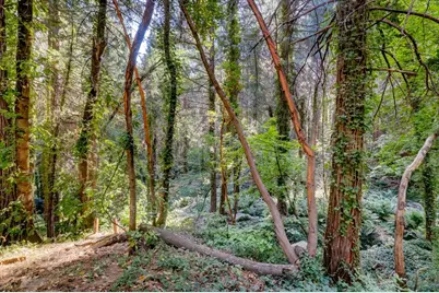 11877 Incline Shaft, Nevada City, CA 95959 - Photo 92
