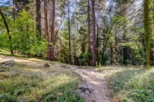 11877 Incline Shaft, Nevada City, CA 95959 - Photo 88