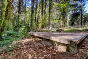 11877 Incline Shaft, Nevada City, CA 95959 - Photo 96