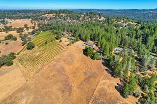 3700 Wilson Loop, Placerville, CA 95667 - Photo 40