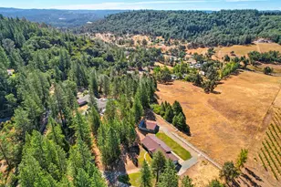 3700 Wilson Loop, Placerville, CA 95667 - Photo 42